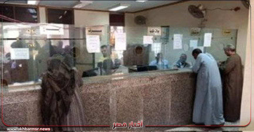 أخبار مصر 2050