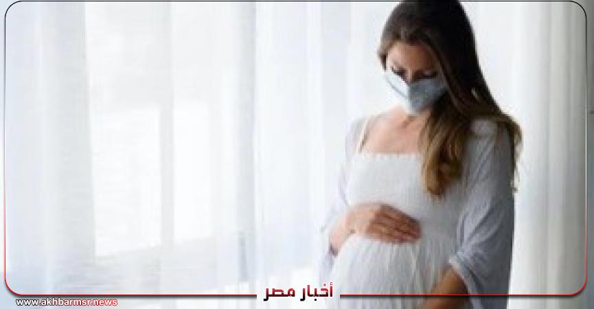 أخبار مصر 2050
