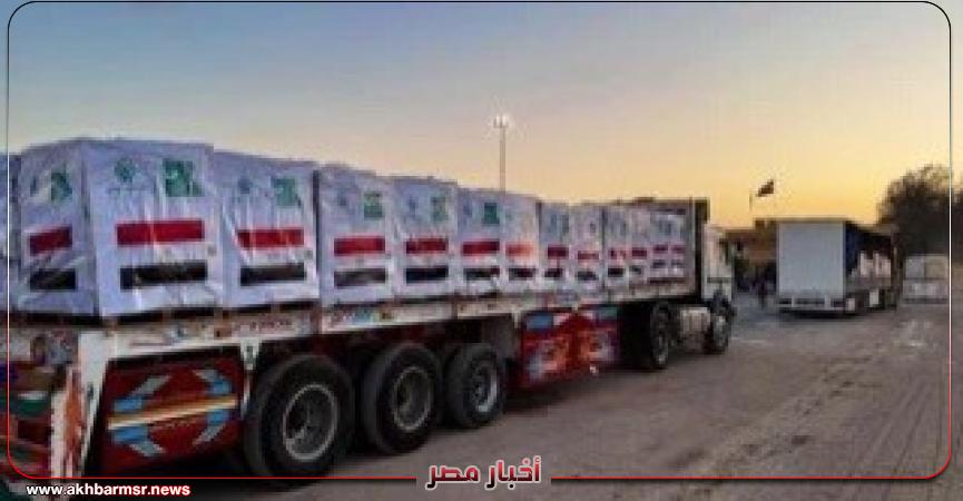 أخبار مصر 2050