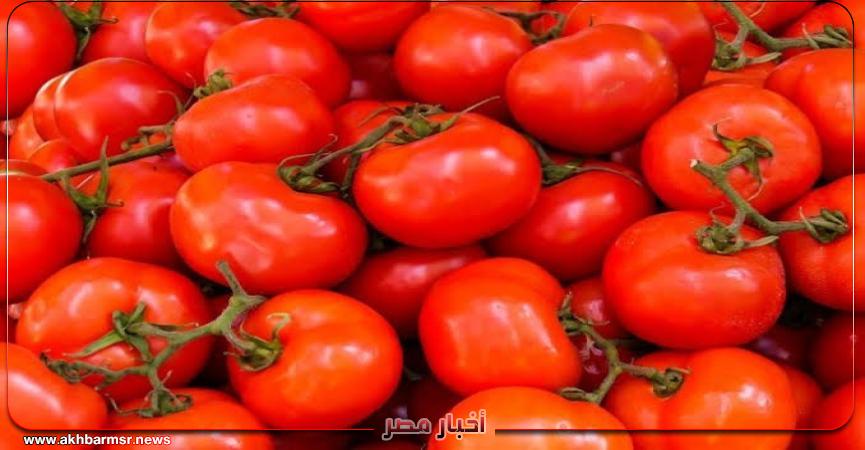 الطماطم.. الفاكهة الحمراء التي تخفي وراءها أسرارًا مذهلة لصحتك
