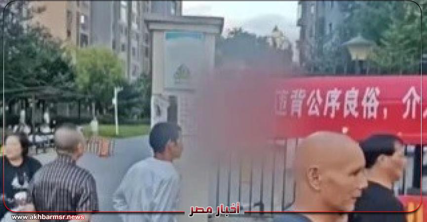 أخبار مصر 2050