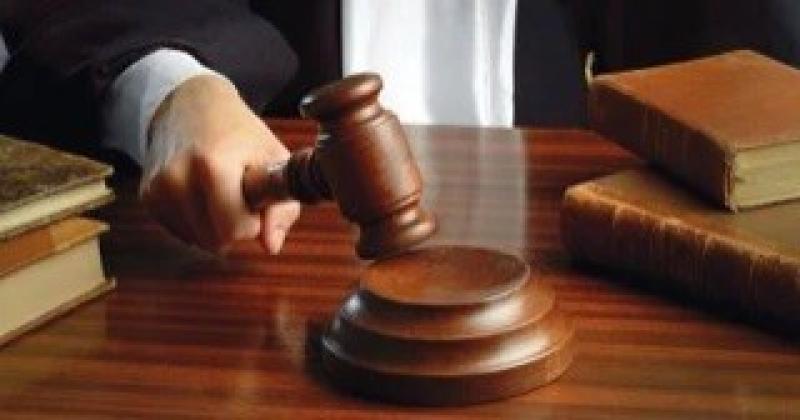 بعد ضبط قتلة كلب المعادي.. الحبس 6 أشهر عقوبة تنتظر المتورطين فى الجريمة