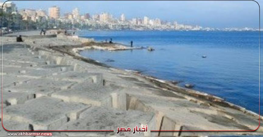 أخبار مصر 2050