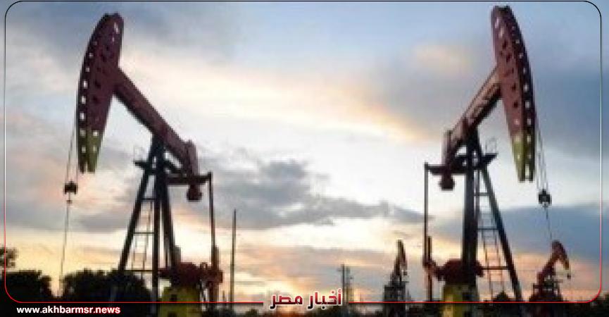 أخبار مصر 2050