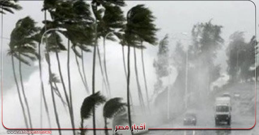 أخبار مصر 2050