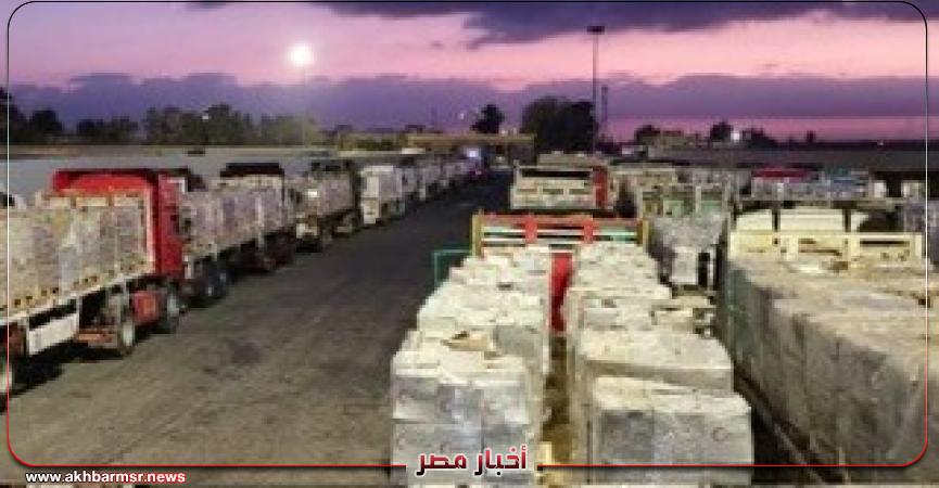 أخبار مصر 2050