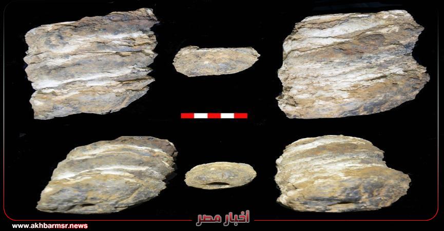 أخبار مصر 2050