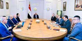 الرئيس عبد الفتاح السيسي يستقبل  اليوم، السيد تيرجيه بيلسكوج الرئيس التنفيذي لشركة ”سكاتك” النرويجية،