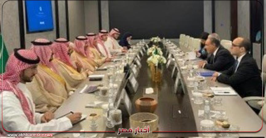 أخبار مصر 2050