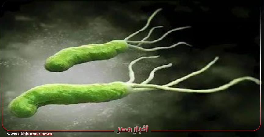 أخبار مصر 2050