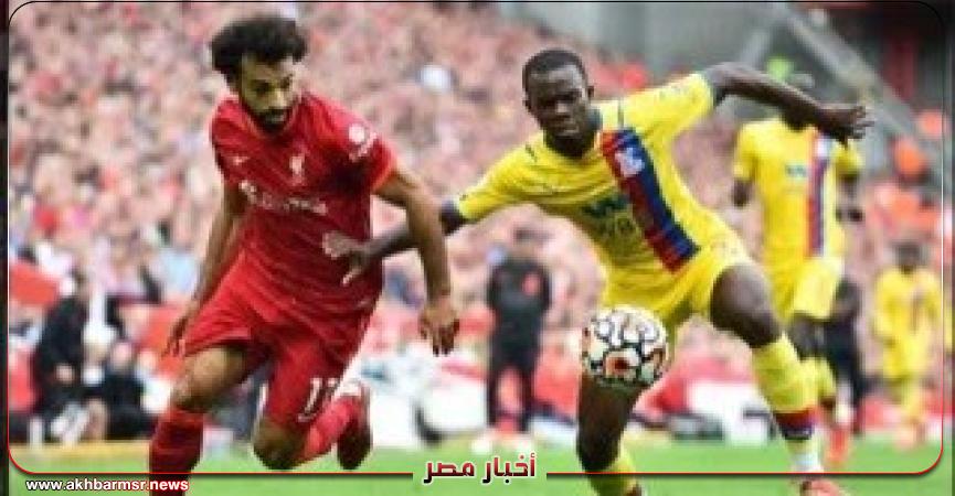 أخبار مصر 2050