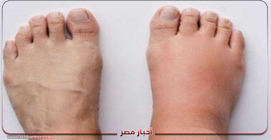 أخبار مصر 2050