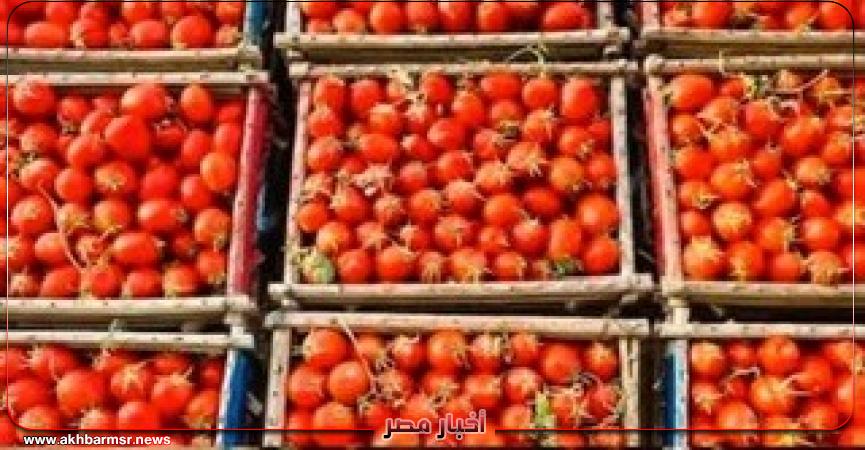 أخبار مصر 2050