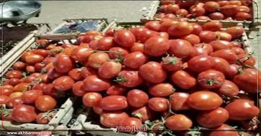أخبار مصر 2050