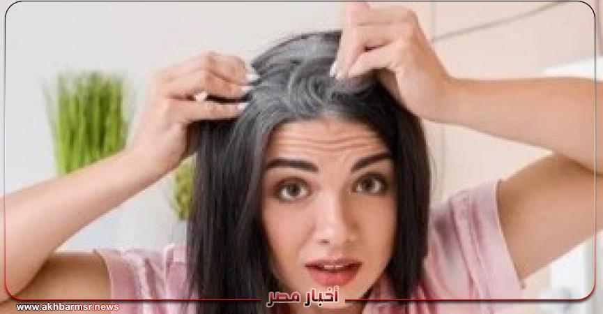 أخبار مصر 2050