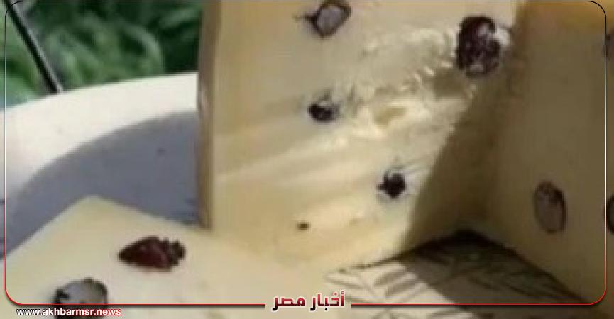 أخبار مصر 2050