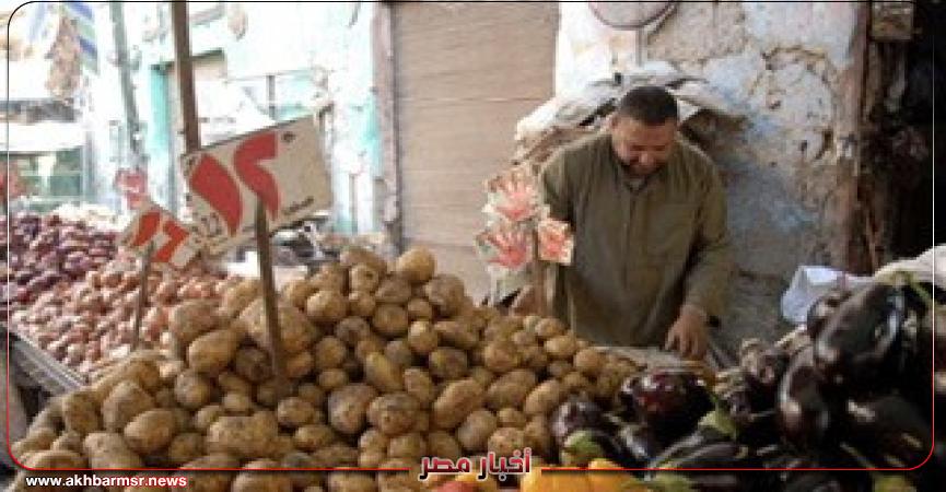 أخبار مصر 2050