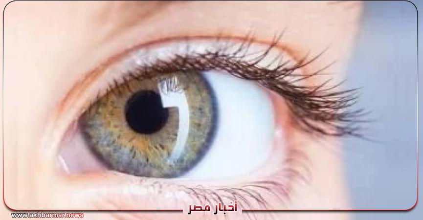 أخبار مصر 2050