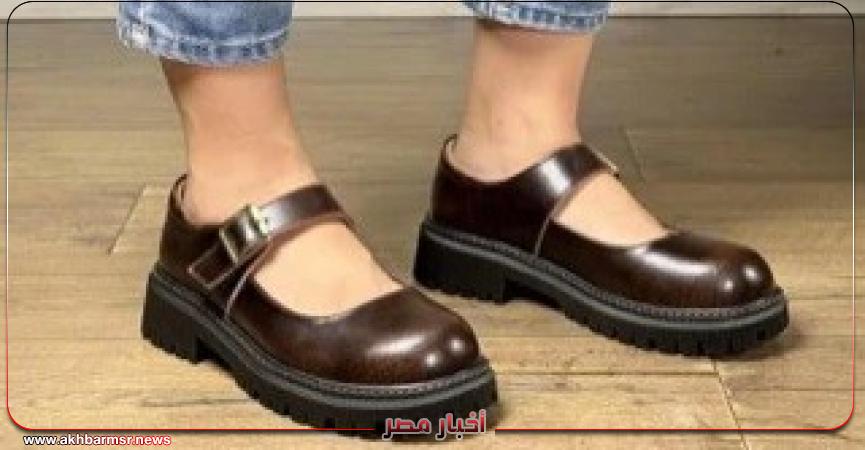 أخبار مصر 2050