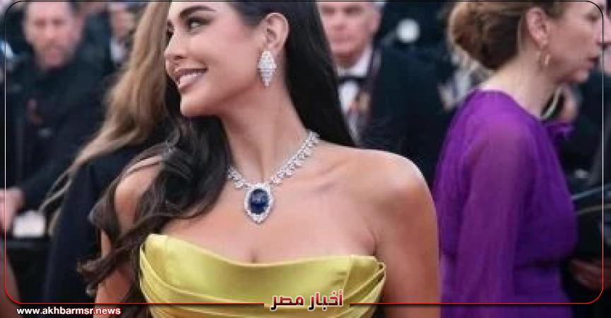 أخبار مصر 2050
