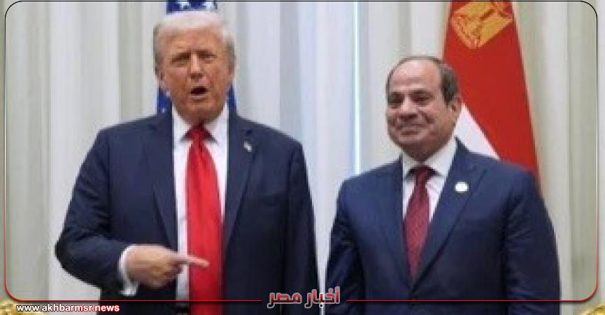 أخبار مصر 2050
