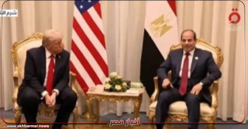 أخبار مصر 2050