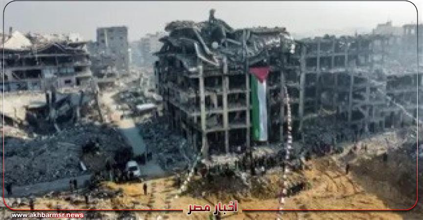 أخبار مصر 2050