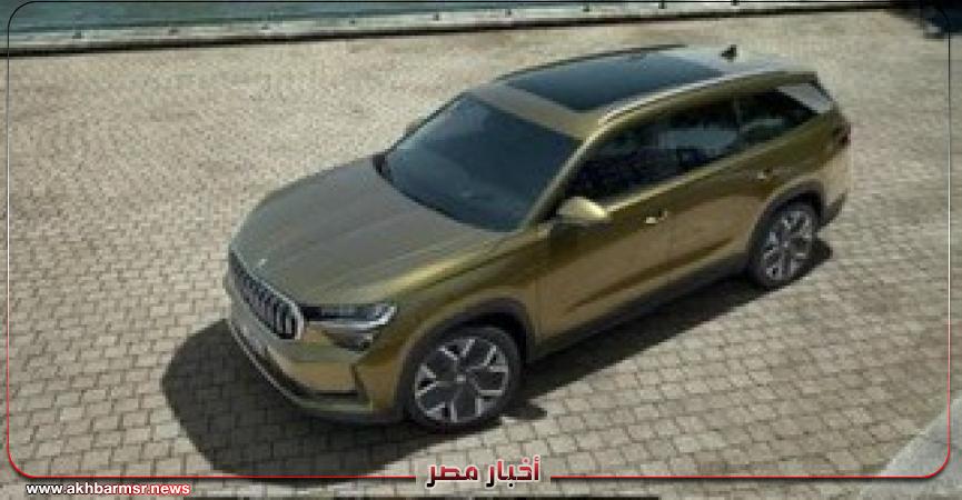 أخبار مصر 2050