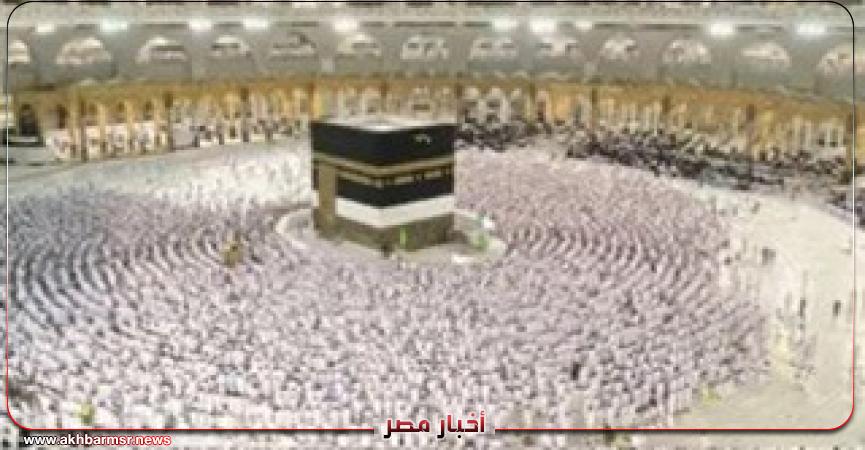 أخبار مصر 2050