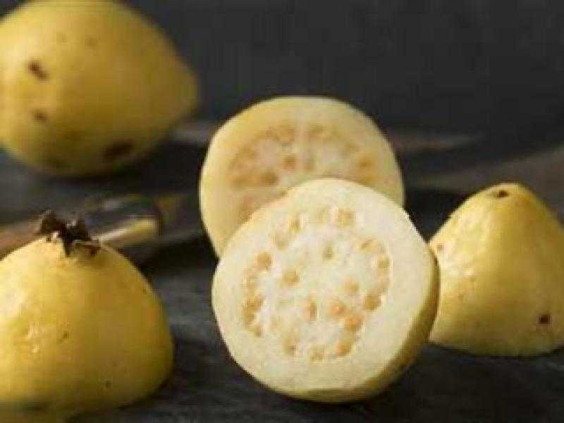 بعد انخفاض الكيلو.. أفضل طرق لتخزين الجوافة في الفريزر طوال العام