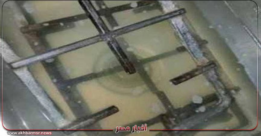أخبار مصر 2050