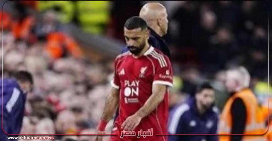 أخبار مصر 2050