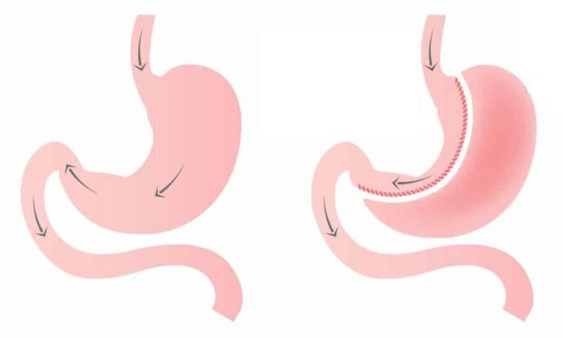 أخبار مصر 2050