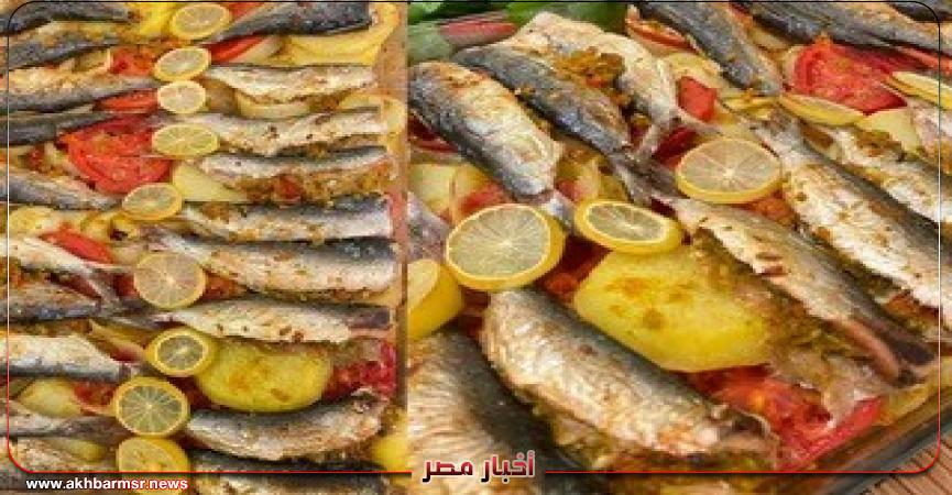 أخبار مصر 2050