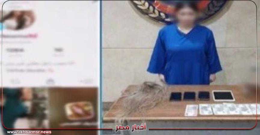 أخبار مصر 2050