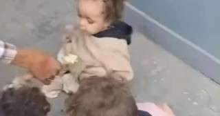 عرض أطفال تركتهم أمهم في الزراعات بالشرقية على المستشفى للاطمئنان على صحتهم عرض أطفال تركتهم أمهم في الزراعات بالشرقية على المستشفى للاطمئنان على صحتهم