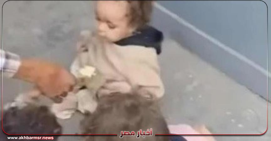 أخبار مصر 2050