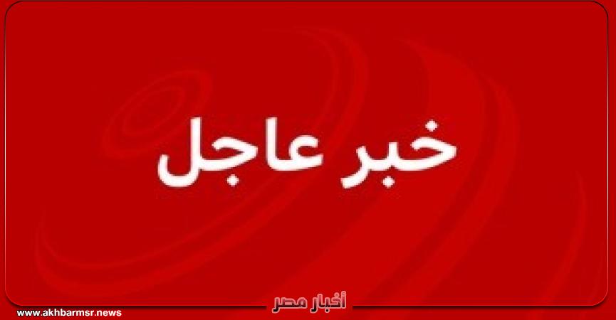 أخبار مصر 2050