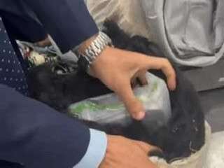جمارك مطار القاهرة تحبط محاولة راكب أجنبي تهريب 5 كيلوغرامات من الحشيش... جمارك مطار القاهرة تحبط محاولة راكب أجنبي تهريب 5 كيلوغرامات من الحشيش أخفاها داخل مخدات.