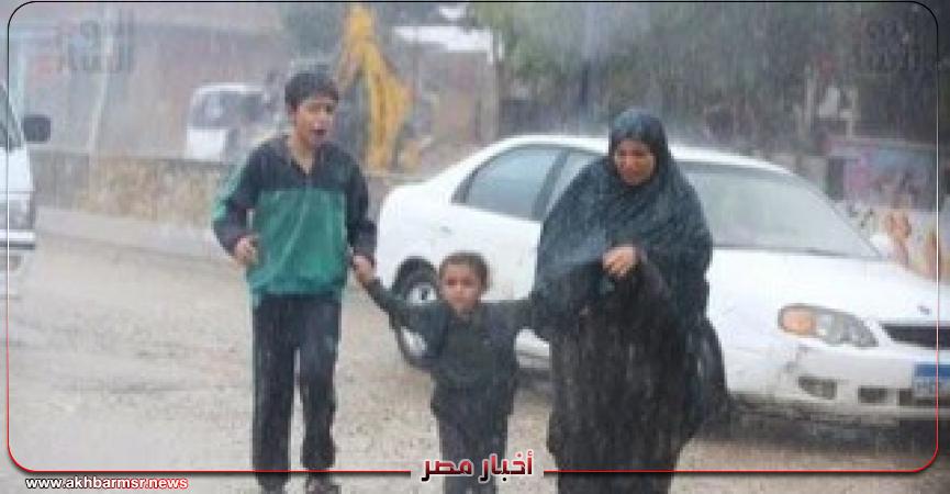 أخبار مصر 2050