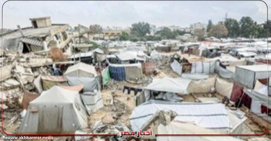 أخبار مصر 2050