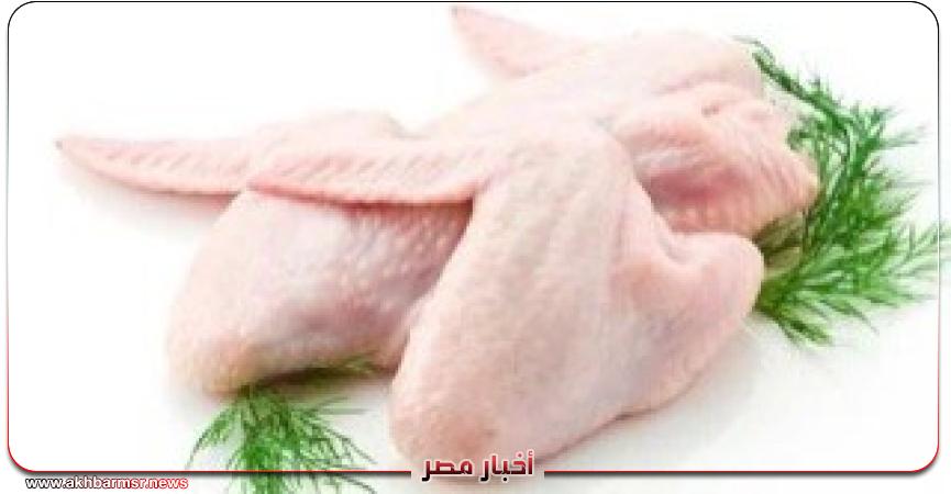 أخبار مصر 2050