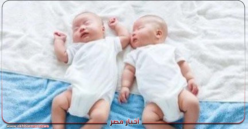 أخبار مصر 2050