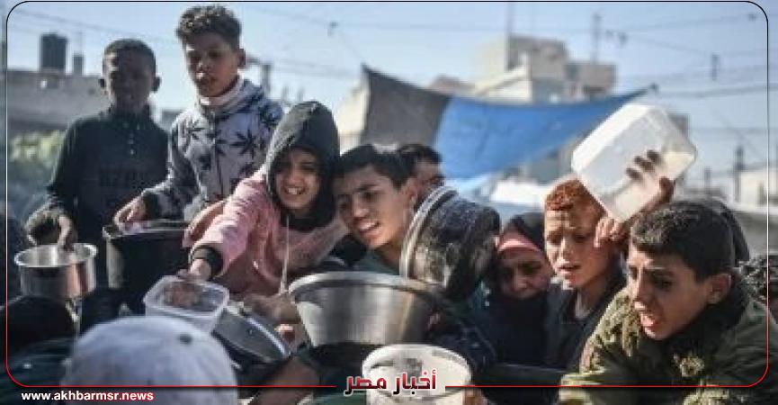 أخبار مصر 2050