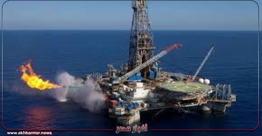 أخبار مصر 2050