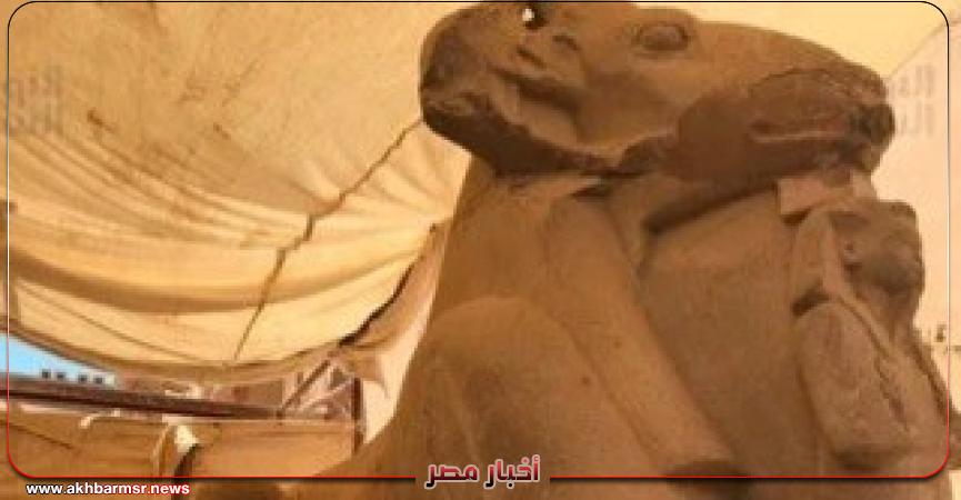 أخبار مصر 2050