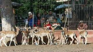 عاجل: تحديد موعد افتتاح حديقة الحيوان بالجيزة بعد التطوير الشامل وربطها بحديقة الأورمان