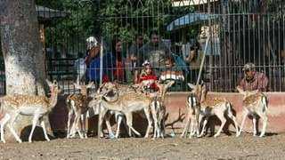 عاجل: تحديد موعد افتتاح حديقة الحيوان بالجيزة بعد التطوير الشامل وربطها بحديقة الأورمان