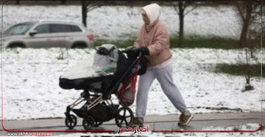 أخبار مصر 2050