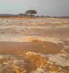 عاجل | سيول قوية تجتاح منطقتي برنيس والشيخ الشاذلي في مرسى علم